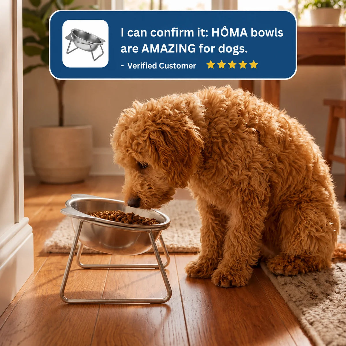 Beebeo™ | Orthopedic Food Bowl