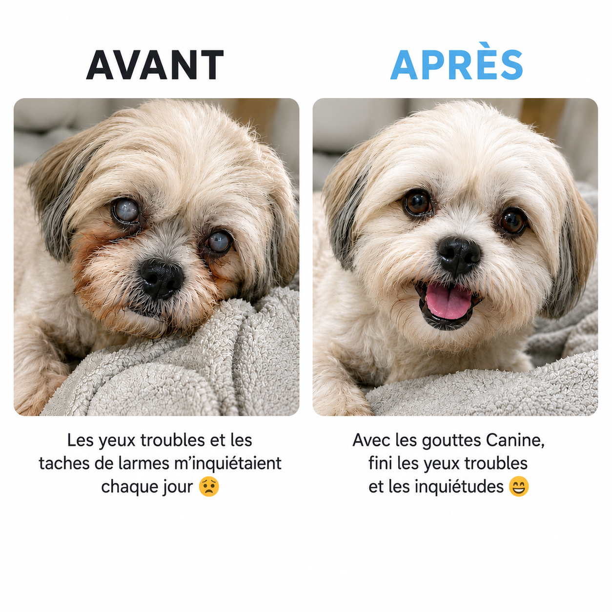 Beebeoeu™ | Gouttes oculaires pour chiens