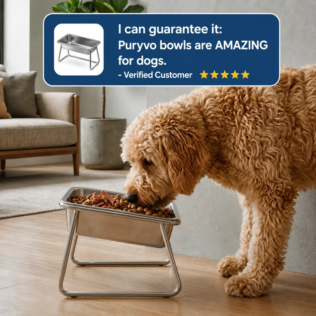 Beebeo™ | Orthopedic Food Bowl