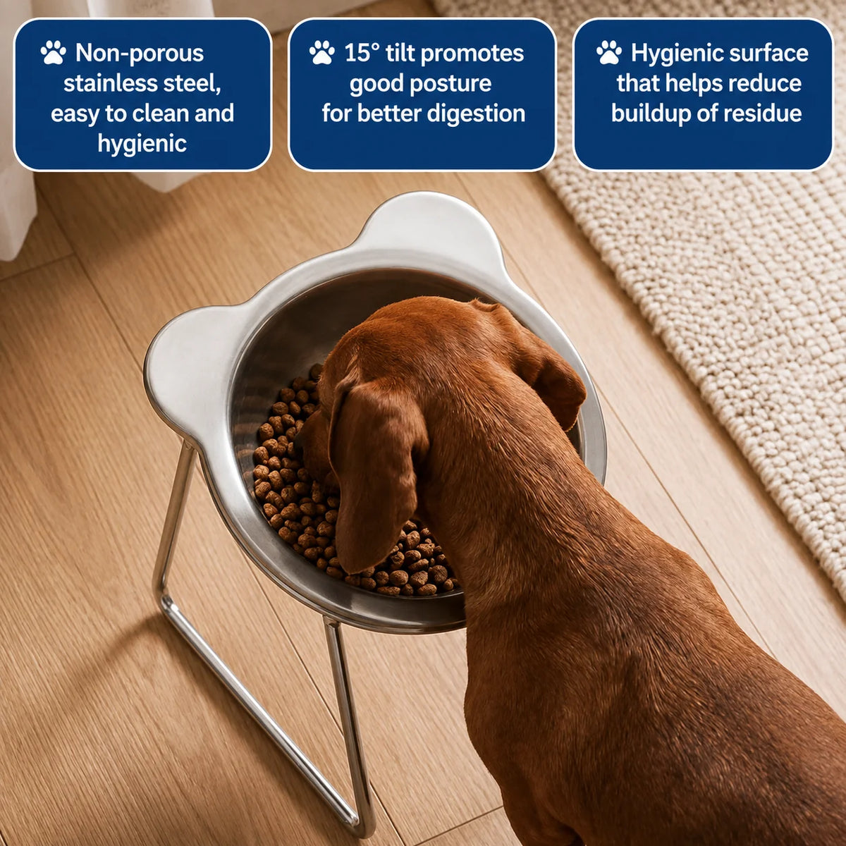 Beebeo™ | Orthopedic Food Bowl