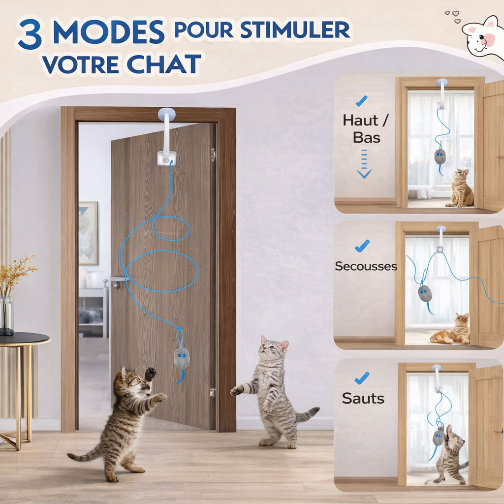 PlayPaws - Le jouet anti-ennui préféré des chats d’intérieur