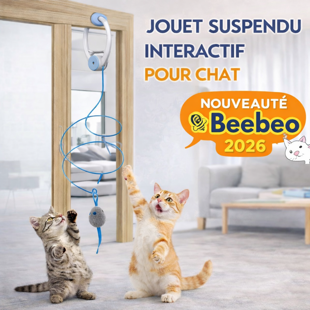 PlayPaws - Le jouet anti-ennui préféré des chats d’intérieur