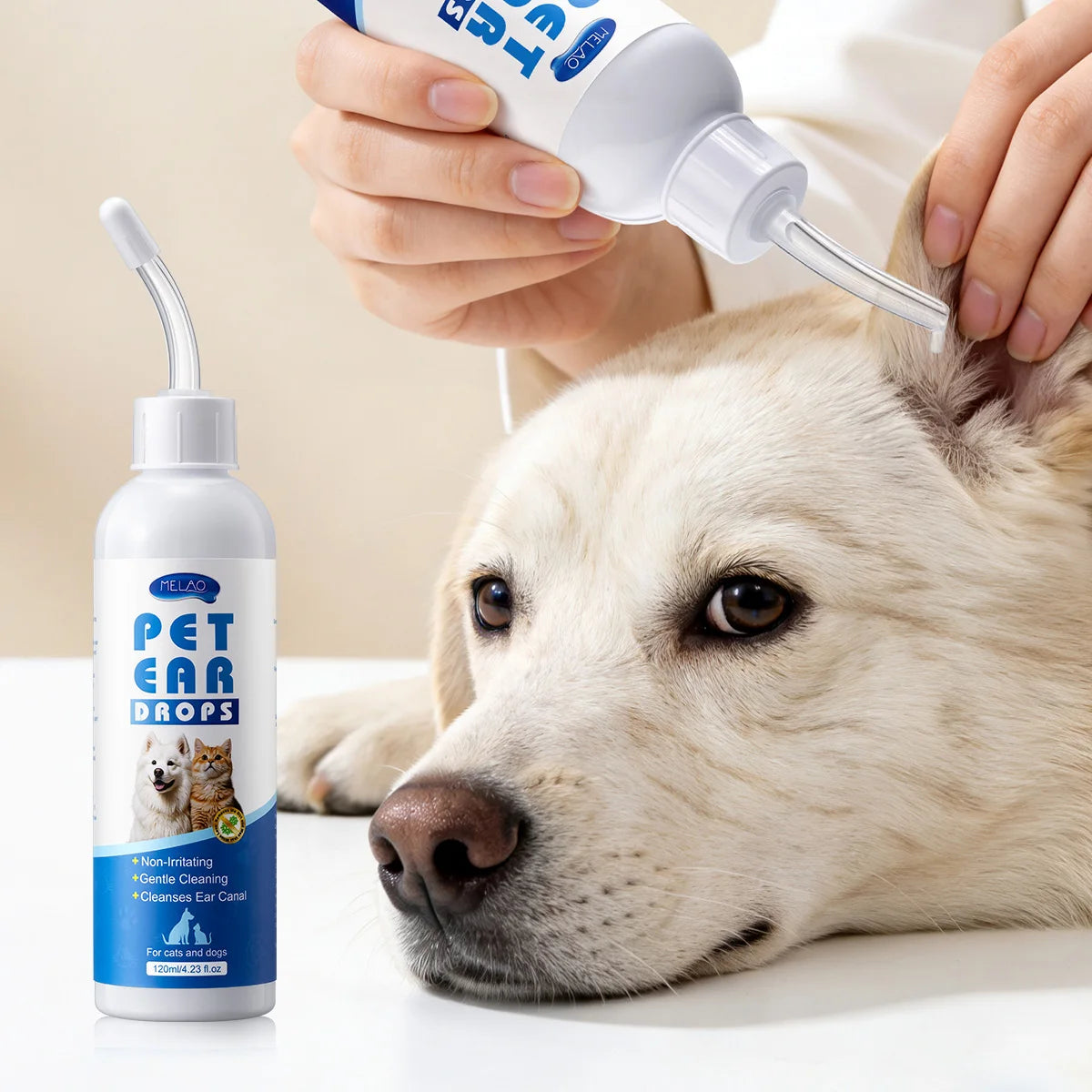 Nettoyage des oreilles du chien
